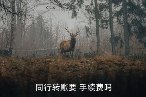 同行跨市匯款 手續(xù)費是多少錢