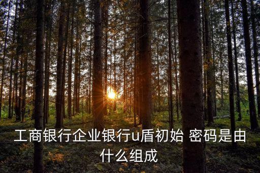 工商銀行企業(yè)銀行u盾初始 密碼是由什么組成