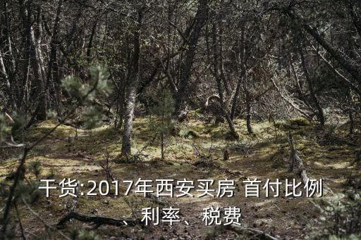 2017房子首付多少,長沙房子首付一般是多少錢
