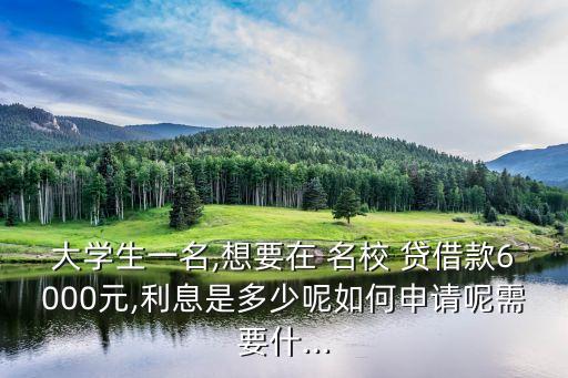 大學(xué)生一名,想要在 名校 貸借款6000元,利息是多少呢如何申請(qǐng)呢需要什...