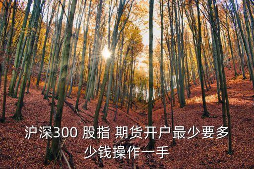 滬深300 股指 期貨開戶最少要多少錢操作一手