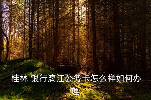  桂林 銀行漓江公務(wù)卡怎么樣如何辦理