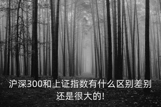 滬深300和上證指數(shù)有什么區(qū)別差別還是很大的!