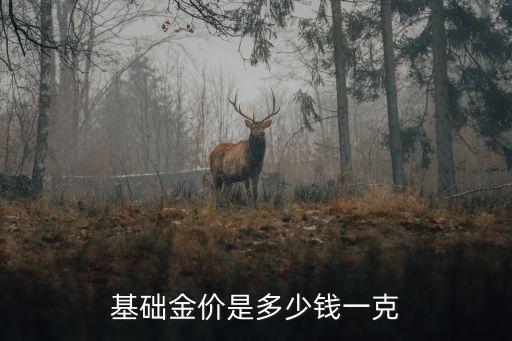 干足金多少錢(qián)一克,9999黃金多少錢(qián)一克