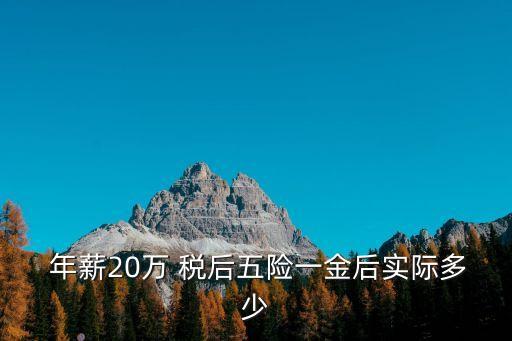  年薪20萬(wàn) 稅后五險(xiǎn)一金后實(shí)際多少