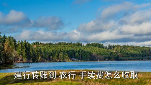 建行轉(zhuǎn)到農(nóng)行手續(xù)費(fèi)多少錢,建行卡轉(zhuǎn)到農(nóng)行卡需要手續(xù)費(fèi)嗎