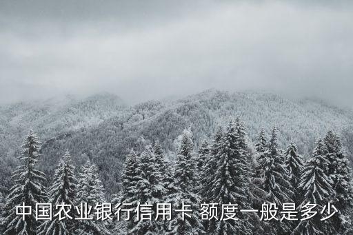 農(nóng)行貸記卡安邦卡額度多少,農(nóng)行金穗貸記卡額度