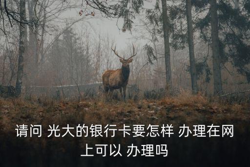 請問 光大的銀行卡要怎樣 辦理在網(wǎng)上可以 辦理嗎