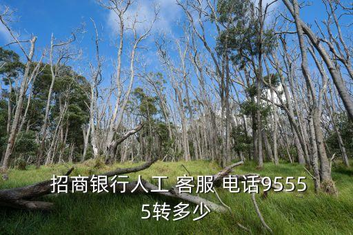  招商銀行人工 客服 電話95555轉(zhuǎn)多少
