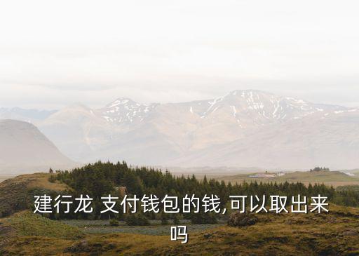  建行龍 支付錢包的錢,可以取出來嗎