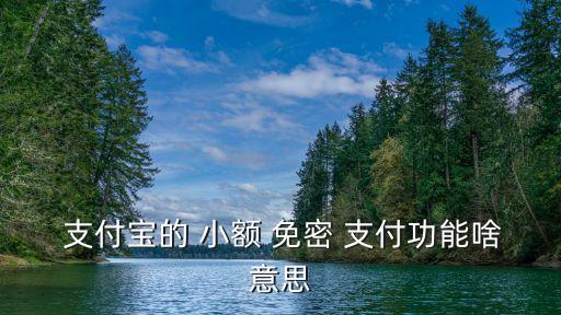 小額免密支付是多少,蘋(píng)果小額免密支付設(shè)置