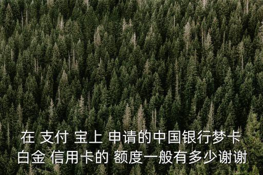 在支付寶上怎么申請(qǐng)信用卡額度是多少錢