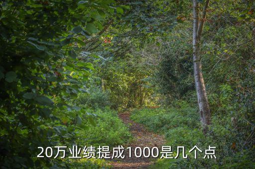 20萬塊一個點(diǎn)是多少,2萬塊錢可以做什么生意