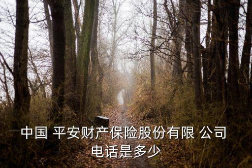 中國(guó) 平安財(cái)產(chǎn)保險(xiǎn)股份有限 公司 電話是多少