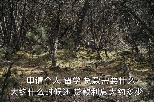 留學(xué)可以貸款多少費用,孩子留學(xué)的費用貸款劃算