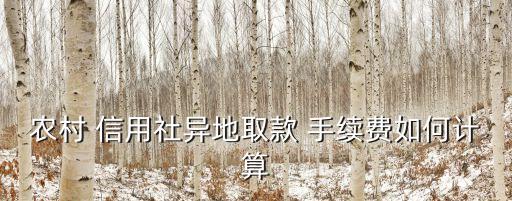 信用社跨行跨地轉(zhuǎn)賬手續(xù)費(fèi)多少錢