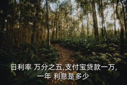 日萬分之五的利息是多少