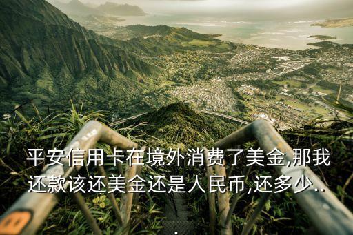  平安信用卡在境外消費(fèi)了美金,那我還款該還美金還是人民幣,還多少...