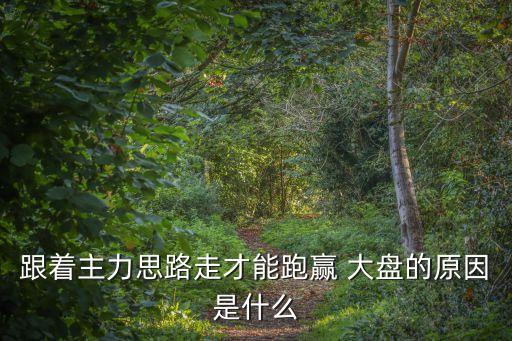 跟著主力思路走才能跑贏 大盤的原因是什么