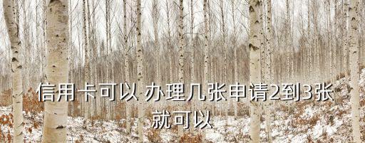  信用卡可以 辦理幾張申請2到3張就可以