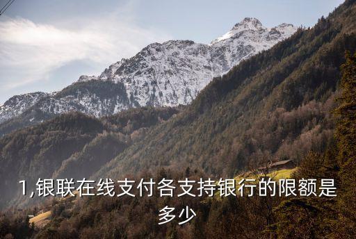 網(wǎng)付卡的額度是多少