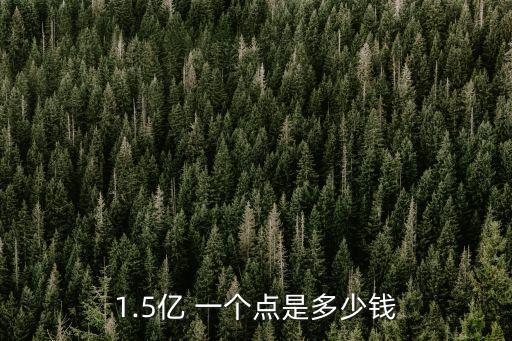1.5億 一個(gè)點(diǎn)是多少錢