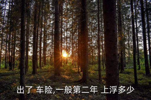出了 車險(xiǎn),一般第二年 上浮多少