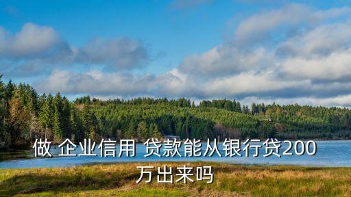 做 企業(yè)信用 貸款能從銀行貸200萬(wàn)出來(lái)嗎