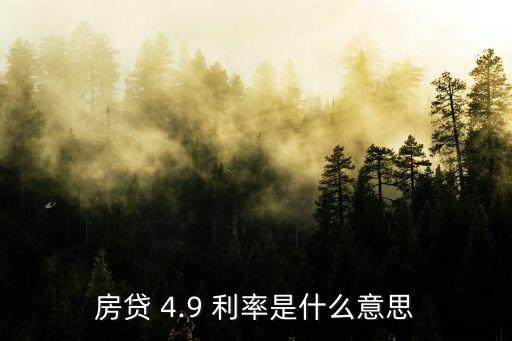 基準(zhǔn)利率4.9是多少,4.9的基準(zhǔn)利率是什么時(shí)候調(diào)整的