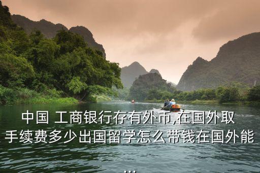 中國 工商銀行存有外幣,在國外取 手續(xù)費多少出國留學怎么帶錢在國外能...