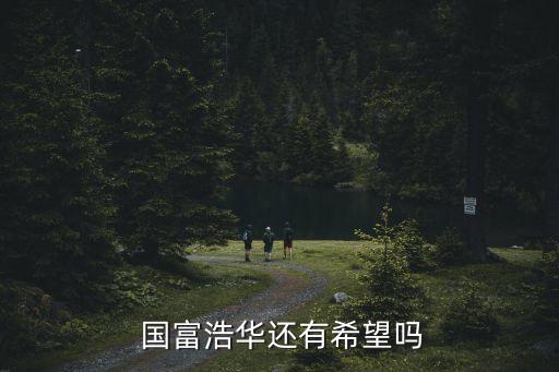  國富浩華還有希望嗎