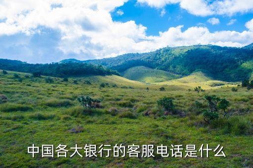 中國各大銀行的客服電話是什么