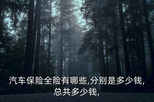 汽車保險全險有哪些,分別是多少錢,總共多少錢,
