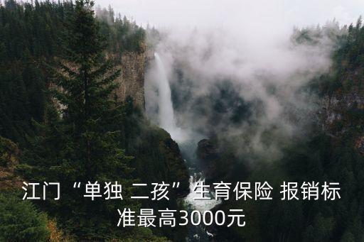二孩保險報銷多少,生孩住院保險報銷嗎