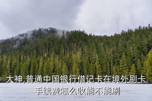 銀聯(lián)跨國(guó)消費(fèi)手續(xù)費(fèi)多少,銀聯(lián)專享消費(fèi)分期信用卡手續(xù)費(fèi)