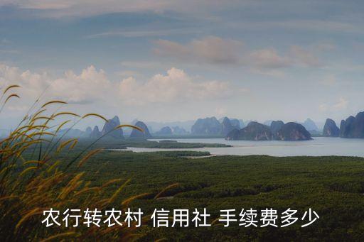 農(nóng)行轉(zhuǎn)農(nóng)村 信用社 手續(xù)費多少