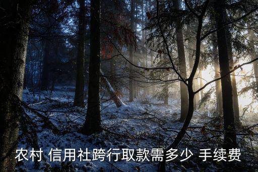 農(nóng)村 信用社跨行取款需多少 手續(xù)費