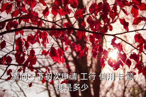 工行辦信用卡額度多少,辦工行信用卡需要什么條件