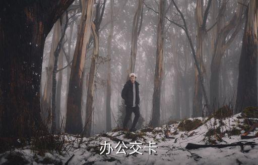辦公交卡