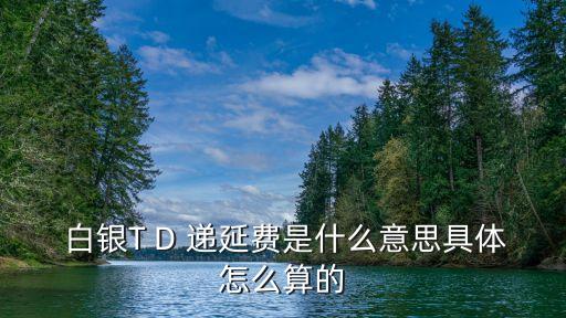 白銀的遞延費(fèi)是多少,白銀td遞延費(fèi)方向查詢