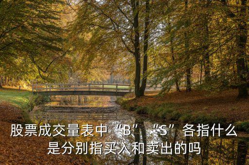 股票成交量表中“B”“S”各指什么是分別指買入和賣出的嗎