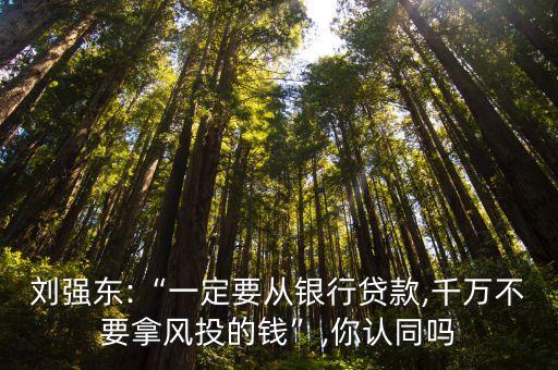 劉強東:“一定要從銀行貸款,千萬不要拿風(fēng)投的錢”,你認同嗎