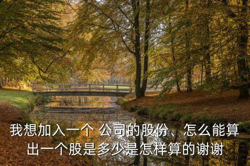 公司入股多少錢一股,以場地入股該占多少股