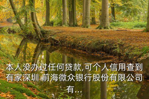 本人沒辦過任何貸款,可個人信用查到有家深圳 前海微眾銀行股份有限公司有...