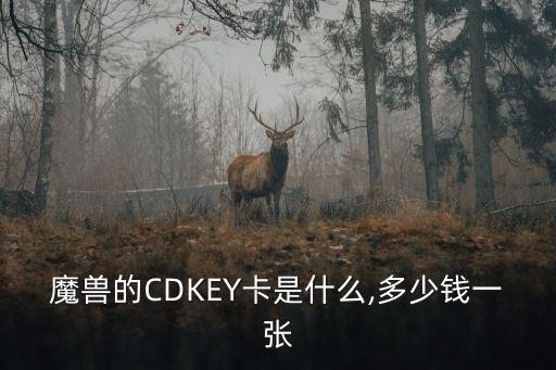 魔獸的CDKEY卡是什么,多少錢一張