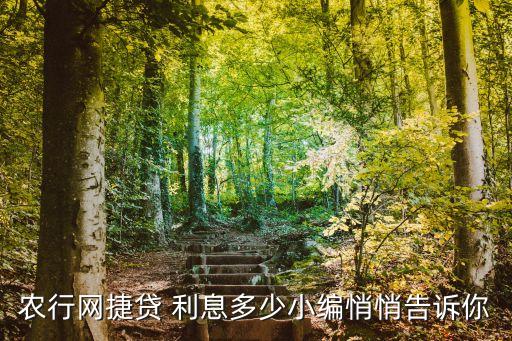 網上現(xiàn)金借款利息多少,償還借款利息支付的現(xiàn)金屬于什么活動