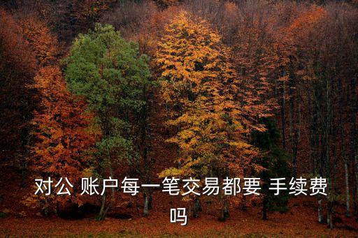 對(duì)公賬戶的網(wǎng)銀轉(zhuǎn)賬手續(xù)費(fèi)是多少錢,工商企業(yè)賬戶網(wǎng)銀轉(zhuǎn)賬手續(xù)費(fèi)