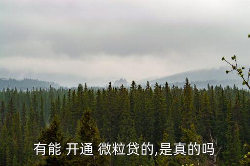 有多少人開通了微粒貸,微粒貸多少積分可以開通