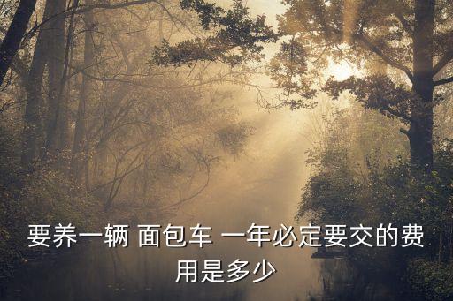 要養(yǎng)一輛 面包車 一年必定要交的費用是多少
