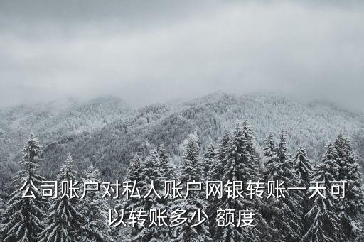  公司賬戶對私人賬戶網(wǎng)銀轉(zhuǎn)賬一天可以轉(zhuǎn)賬多少 額度